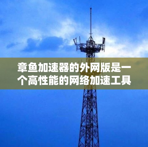 章鱼加速器的外网版是一个高性能的网络加速工具，旨在提升网络连接速度。以下是对外网版的详细分析和建议