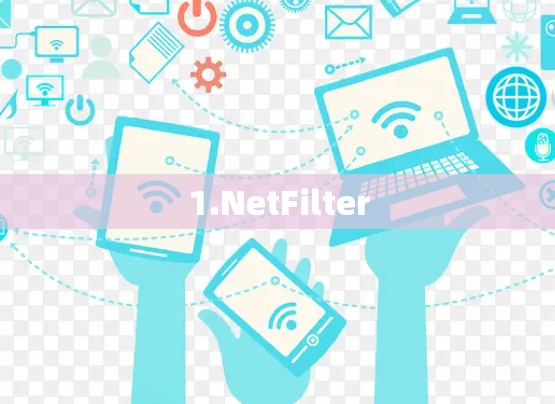 1.NetFilter 1.NetFilter