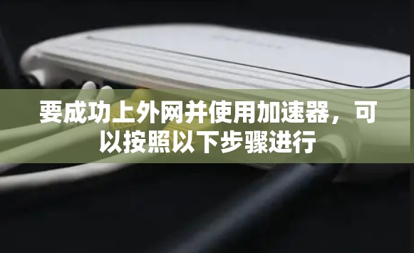 要成功上外网并使用加速器，可以按照以下步骤进行