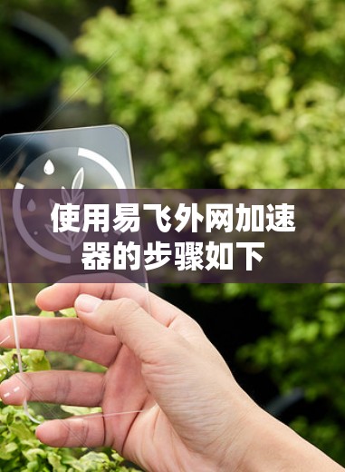 使用易飞外网加速器的步骤如下