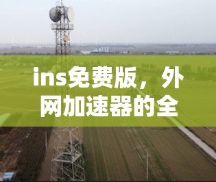 ins免费版，外网加速器的全解析，性能与成本的平衡之道