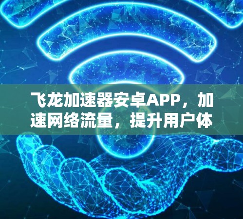 飞龙加速器安卓APP,加速网络流量,提升用户体验 飞龙加速器安卓APP,加速网络流量,提升用户体验