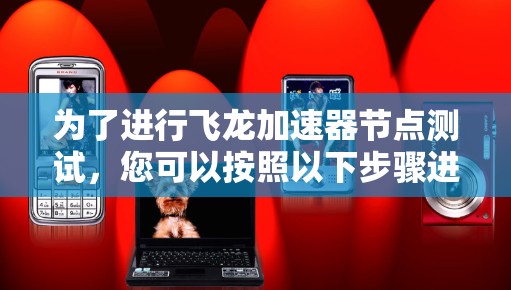 为了进行飞龙加速器节点测试,您可以按照以下步骤进行 为了进行飞龙加速器节点测试,您可以按照以下步骤进行
