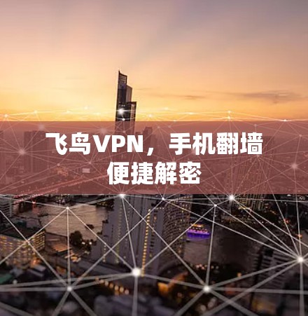 飞鸟VPN,手机翻墙便捷解密 飞鸟VPN,手机翻墙便捷解密