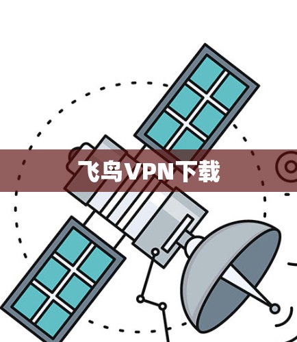 飞鸟VPN下载