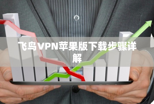飞鸟VPN苹果版下载步骤详解