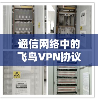 通信网络中的飞鸟VPN协议管理