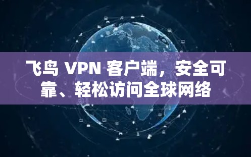 飞鸟 VPN 客户端,安全可靠、轻松访问全球网络 飞鸟 VPN 客户端,安全可靠、轻松访问全球网络