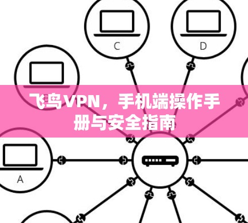 飞鸟VPN,手机端操作手册与安全指南 飞鸟VPN,手机端操作手册与安全指南