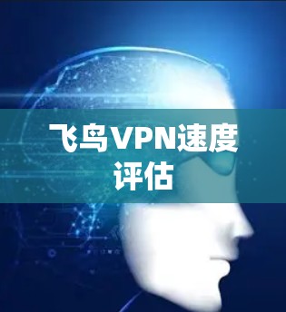 飞鸟VPN速度评估 飞鸟VPN速度评估