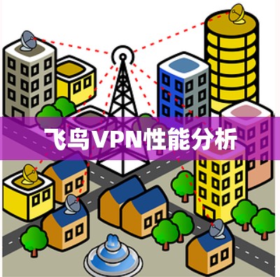 飞鸟VPN性能分析