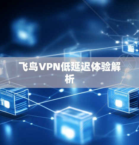 飞鸟VPN低延迟体验解析