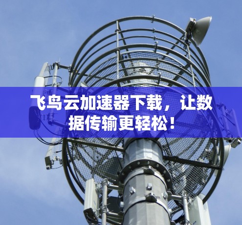 飞鸟云加速器下载，让数据传输更轻松！