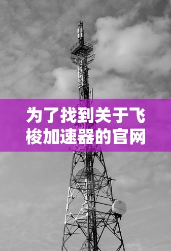 为了找到关于飞梭加速器的官网，您可以按照以下步骤进行