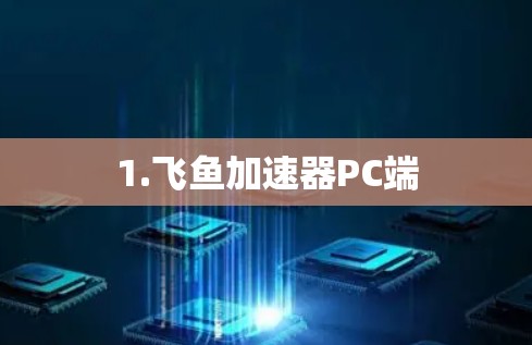 1.飞鱼加速器PC端