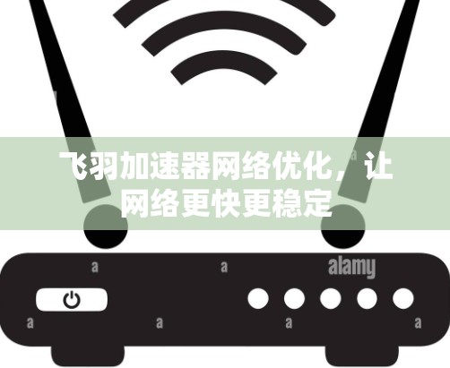 飞羽加速器网络优化，让网络更快更稳定