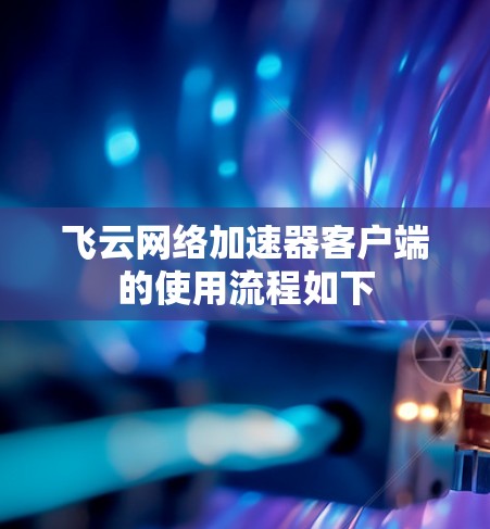 飞云网络加速器客户端的使用流程如下