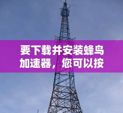 要下载并安装蜂鸟加速器，您可以按照以下步骤操作