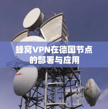 蜂窝VPN在德国节点的部署与应用 蜂窝VPN在德国节点的部署与应用