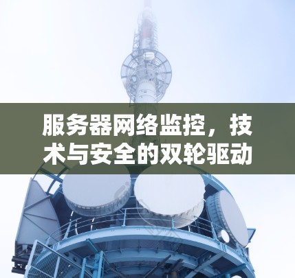 服务器网络监控，技术与安全的双轮驱动