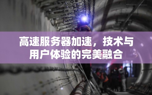 高速服务器加速，技术与用户体验的完美融合