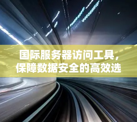 国际服务器访问工具，保障数据安全的高效选择