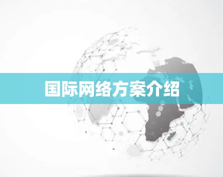 国际网络方案介绍 国际网络方案介绍