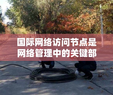 国际网络访问节点是网络管理中的关键部分，负责连接和管理国际互联网和本地网络之间的数据传输。以下是对国际网络访问节点的详细总结
