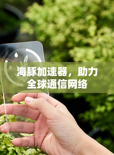海豚加速器，助力全球通信网络