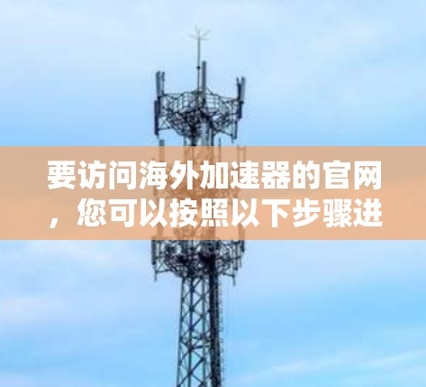 要访问海外加速器的官网，您可以按照以下步骤进行