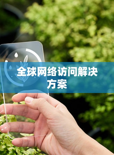 全球网络访问解决方案 全球网络访问解决方案