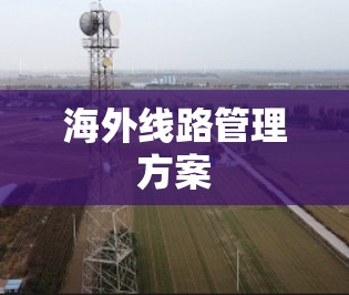 海外线路管理方案