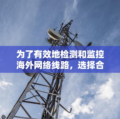 为了有效地检测和监控海外网络线路,选择合适的检测平台至关重要。以下是对一些主要的海外检测平台的详细分析和推荐 为了有效地检测和监控海外网络线路,选择合适的检测平台至关重要。以下是对一些主要的海外检测平台的详细分析和推荐