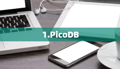 1.PicoDB 1.PicoDB