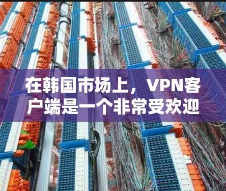 在韩国市场上，VPN客户端是一个非常受欢迎的选择，尤其是对于喜欢加密连接和流畅体验的用户。以下是一些适合韩国用户VPN的主要应用