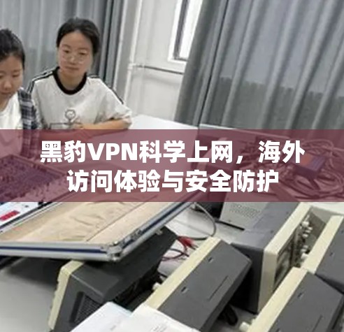 黑豹VPN科学上网，海外访问体验与安全防护