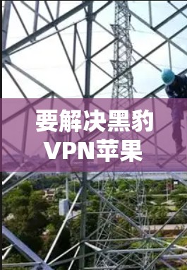 要解决黑豹VPN苹果客户端的连接问题，您可以按照以下步骤操作