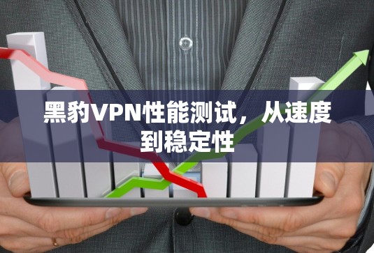 黑豹VPN性能测试，从速度到稳定性