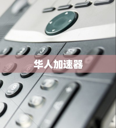 华人加速器