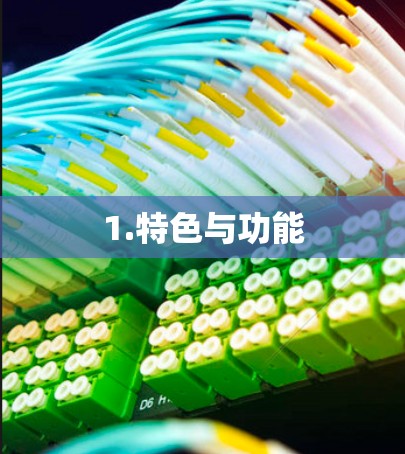 1.特色与功能 1.特色与功能
