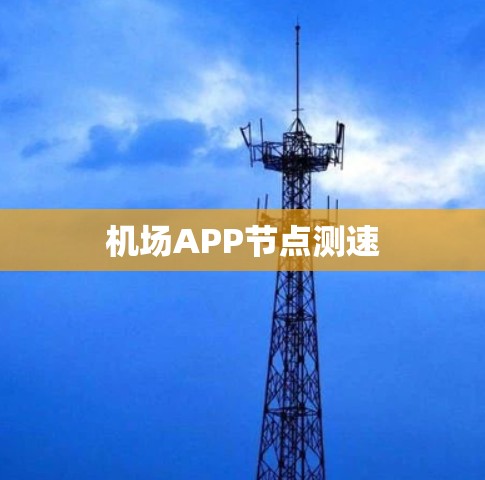 机场APP节点测速