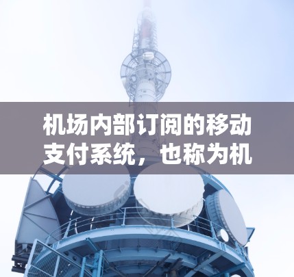 机场内部订阅的移动支付系统，也称为机场支付系统，是一项旨在提高旅客便利性、增加收入和增强安全性的设施。以下是关于机场订阅真实体验的详细分析