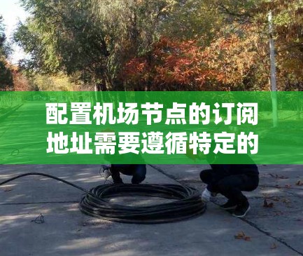 配置机场节点的订阅地址需要遵循特定的规则和格式。以下是详细的步骤和注意事项 配置机场节点的订阅地址需要遵循特定的规则和格式。以下是详细的步骤和注意事项