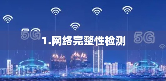 1.网络完整性检测 1.网络完整性检测