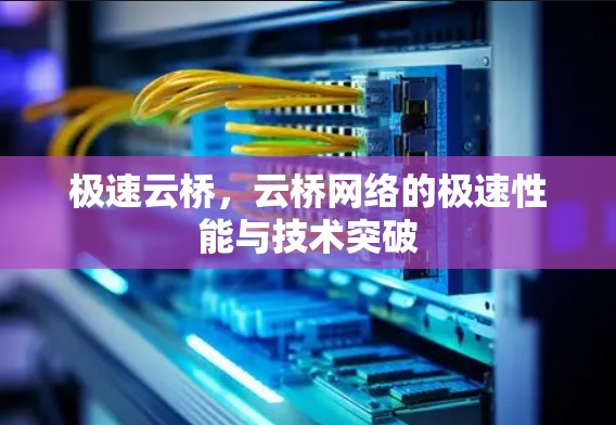 极速云桥，云桥网络的极速性能与技术突破
