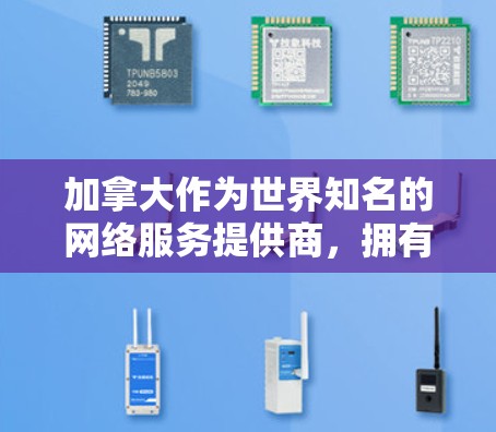 加拿大作为世界知名的网络服务提供商，拥有许多知名的VPN服务，这些服务通常遵循加拿大的法律法规，并致力于提供安全、可靠的网络连接。以下是一些常见的加拿大VPN服务及其特点