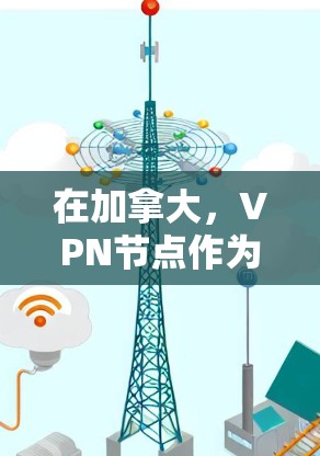 在加拿大，VPN节点作为在该国运营的网络虚拟网络服务提供商，为用户提供安全、隐私和可靠的数据传输服务。以下是对加拿大VPN节点的详细介绍