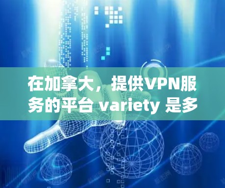 在加拿大，提供VPN服务的平台 variety 是多种多样的，主要集中在几个重要的公司。以下是加拿大的一些主要VPN服务提供商及其特点