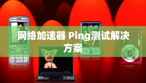 网络加速器 Ping测试解决方案