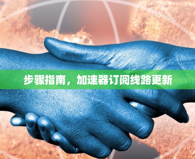 步骤指南,加速器订阅线路更新